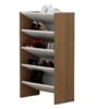 Zapatera Organizador 100CM