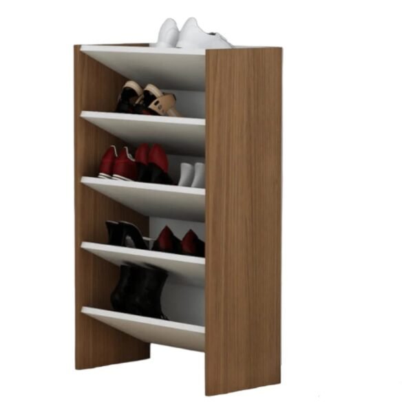 Zapatera Organizador 100CM